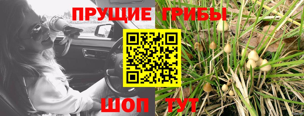 Кизляр  Галлюциногенные грибы мицелий  Вход с VPN 