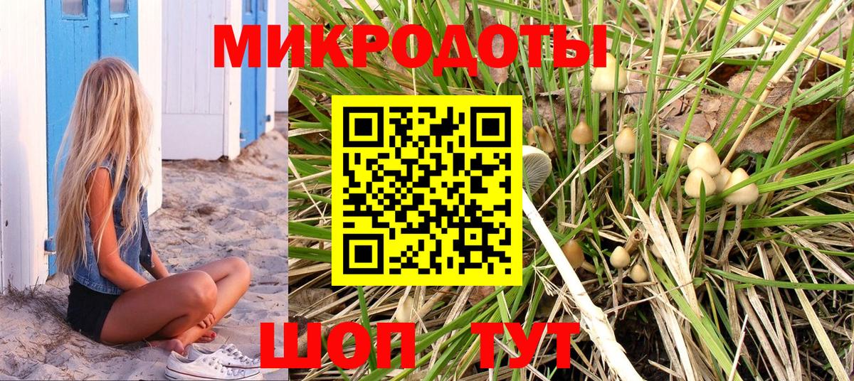 Галлюциногенные грибы Psilocybine cubensis Кизляр